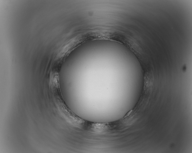X0000110930141200906251343
