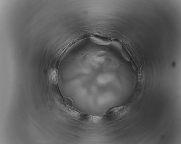 X0000110930143200906251343