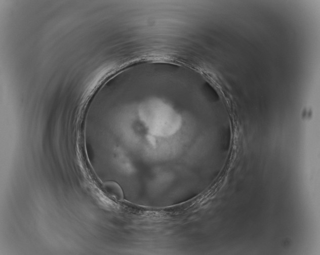 X0000110930145200906251342