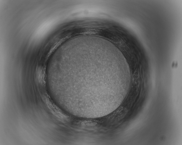 X0000110930146200906251342