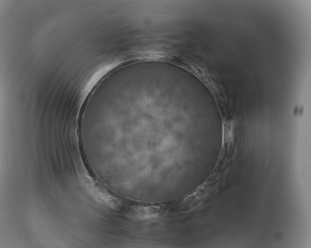 X0000110930147200906251342