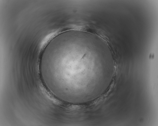 X0000110930149200906251342