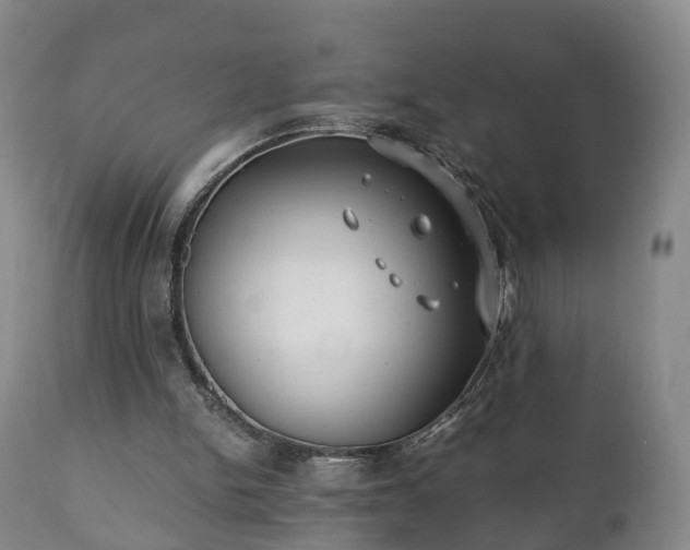 X0000110930150200906251342