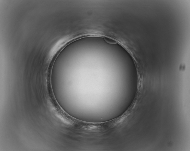 X0000110930151200906251342