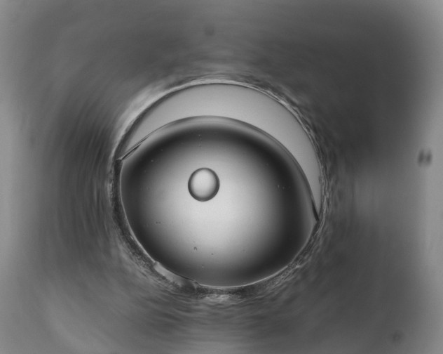 X0000110930152200906251342