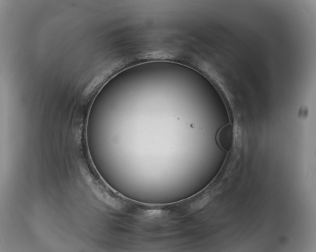 X0000110930153200906251342