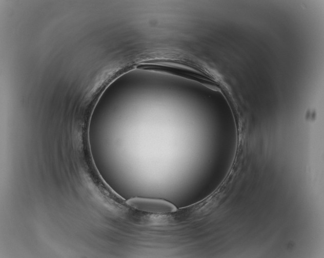 X0000110930154200906251342
