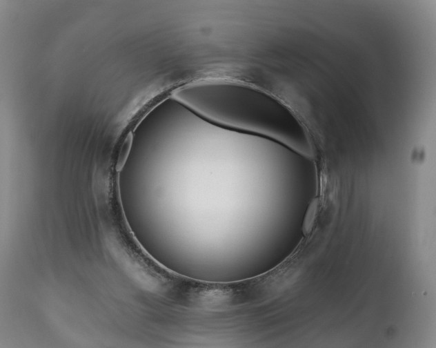 X0000110930156200906251342