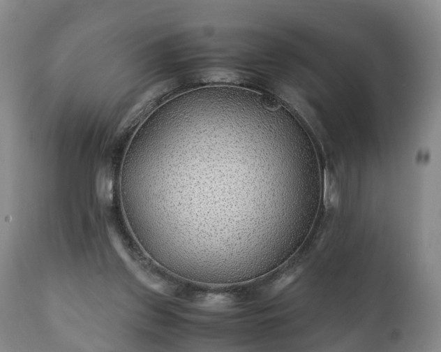 X0000110930157200906251342