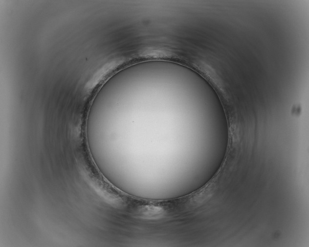 X0000110930159200906251342