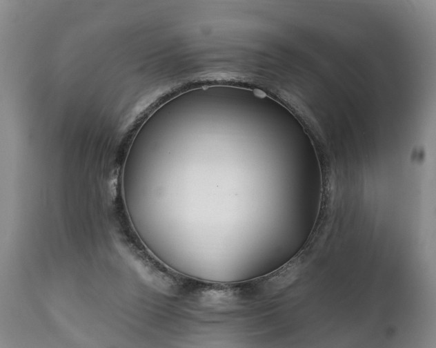 X0000110930160200906251342