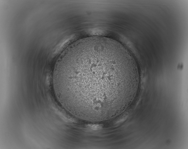 X0000110930161200906251342