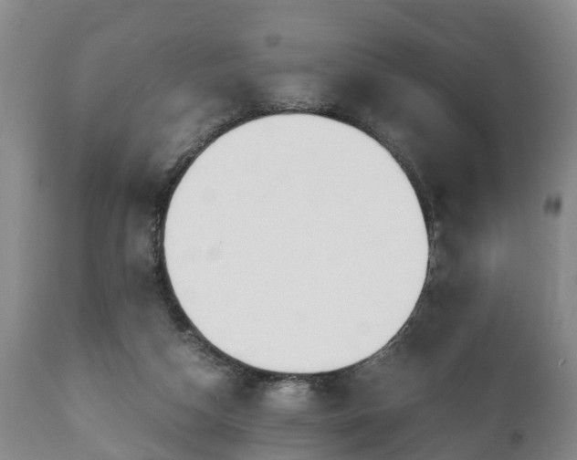 X0000110930162200906251342