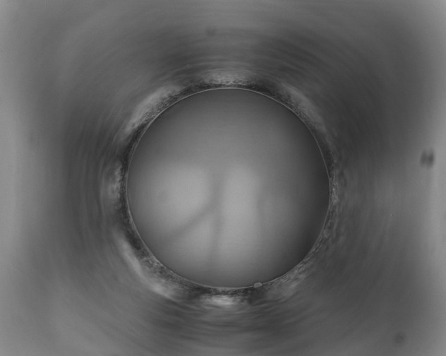 X0000110930163200906251342