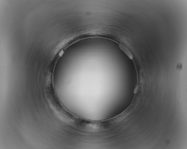X0000110930164200906251342