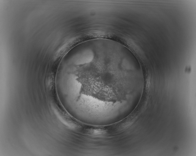 X0000110930165200906251342
