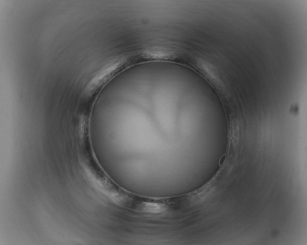 X0000110930167200906251342