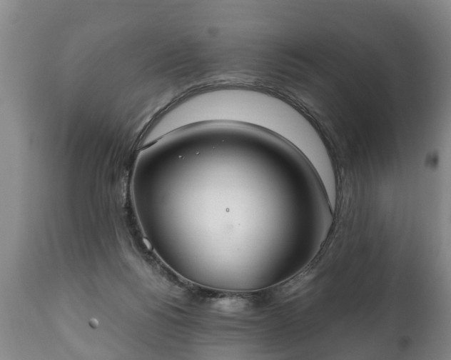 X0000110930168200906251342