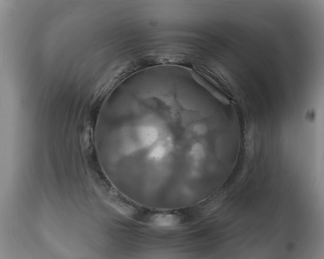 X0000110930169200906251342