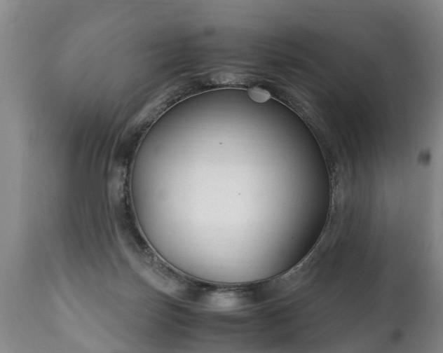 X0000110930171200906251342
