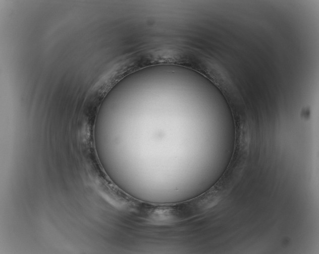 X0000110930173200906251342
