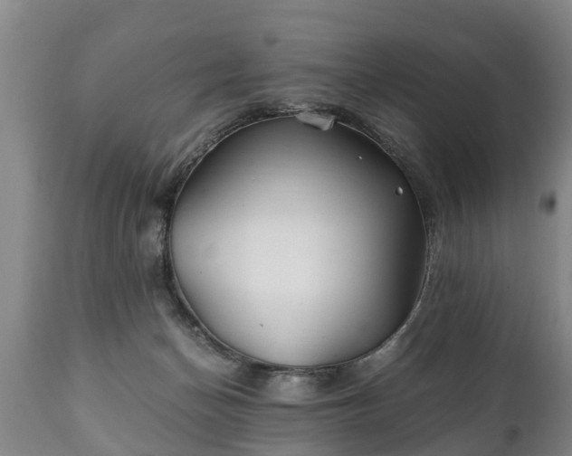 X0000110930174200906251342
