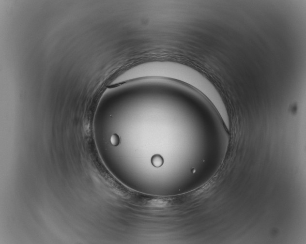 X0000110930176200906251342