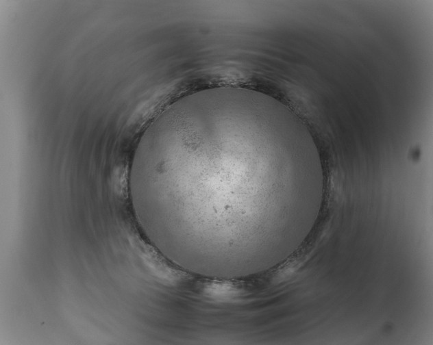 X0000110930177200906251342