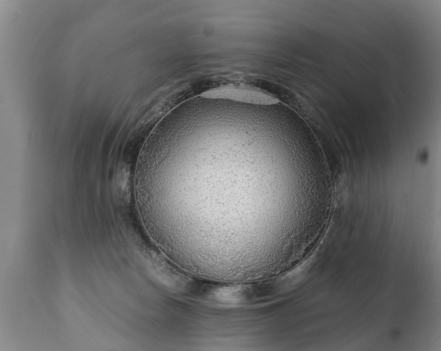 X0000110930178200906251342