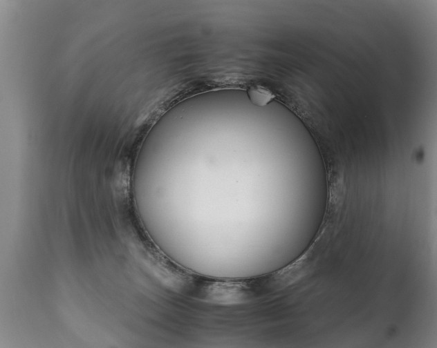 X0000110930179200906251342