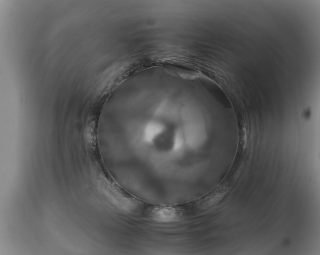 X0000110930181200906251342