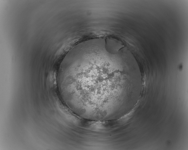 X0000110930182200906251342
