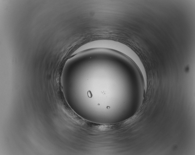 X0000110930184200906251342