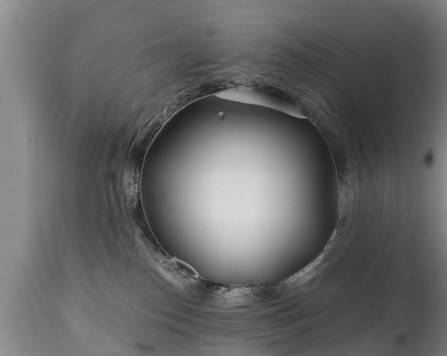 X0000110930186200906251342