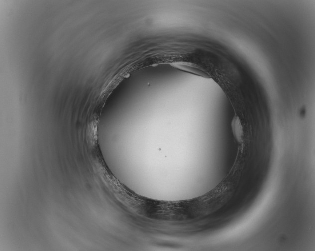 X0000110930190200906251342