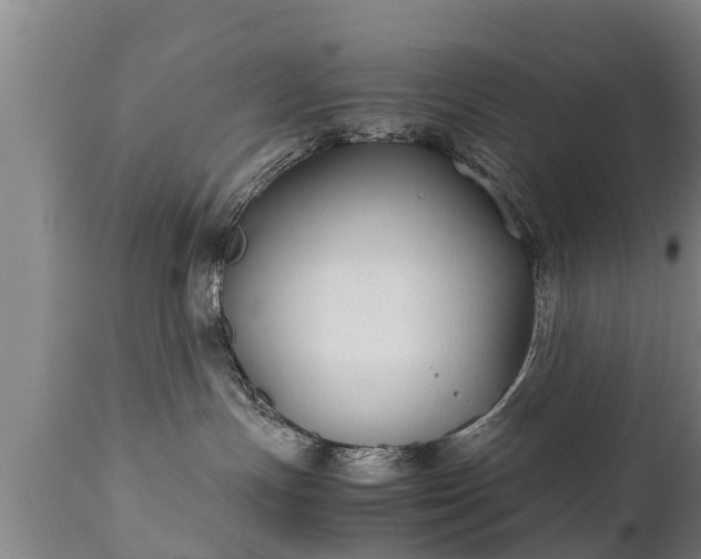 X0000110930191200906251342