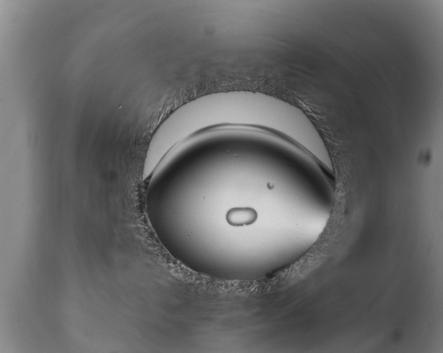 X0000110930192200906251342