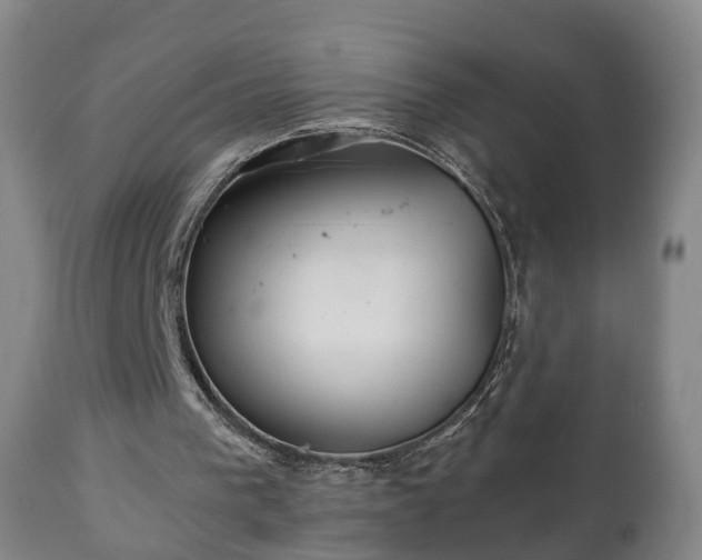 X0000110930193200906251342