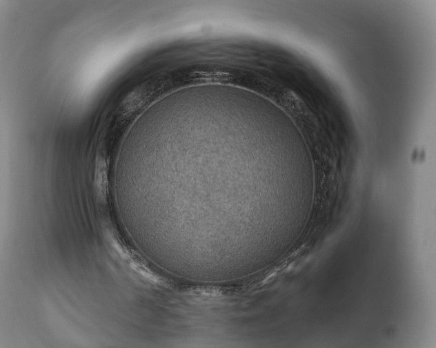 X0000110930194200906251342