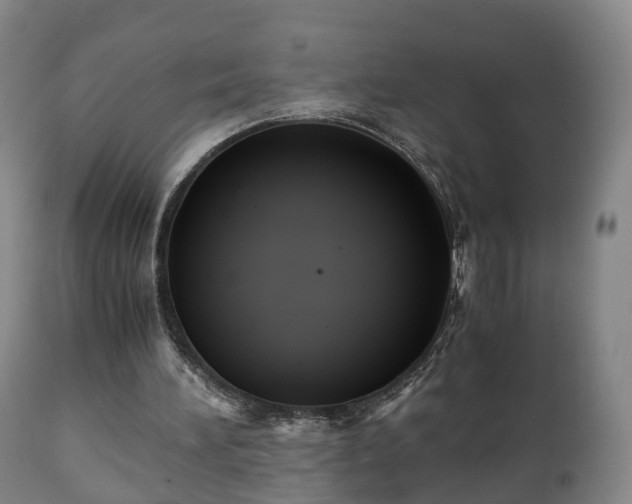 X0000110930196200906251342