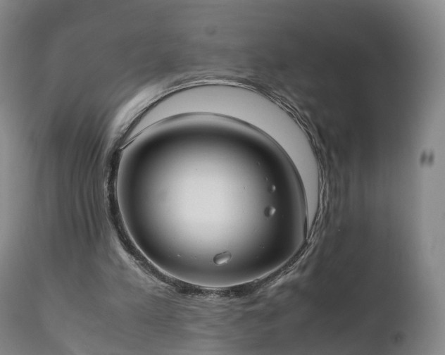 X0000110930197200906251342