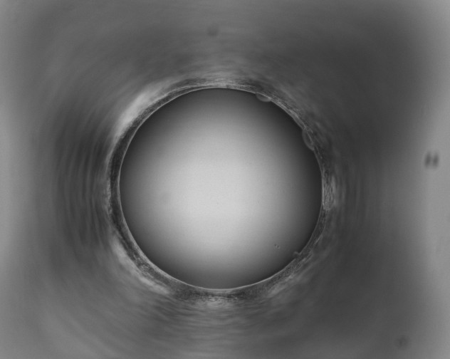 X0000110930198200906251342