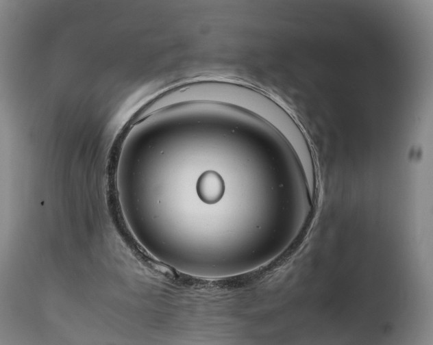X0000110930199200906251342