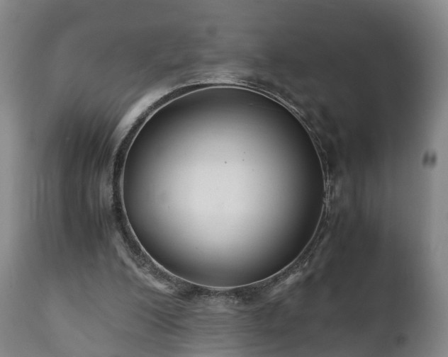 X0000110930200200906251342