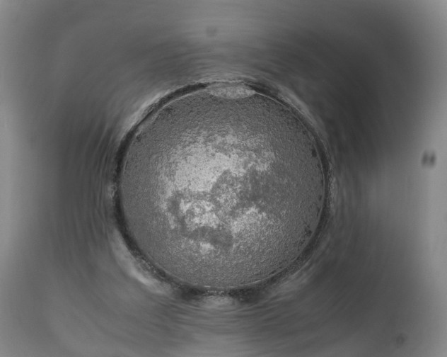 X0000110930203200906251342