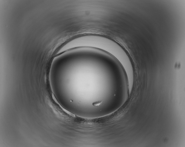X0000110930205200906251341