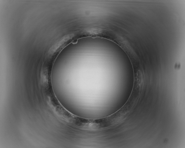 X0000110930212200906251341