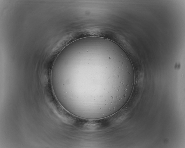 X0000110930213200906251341