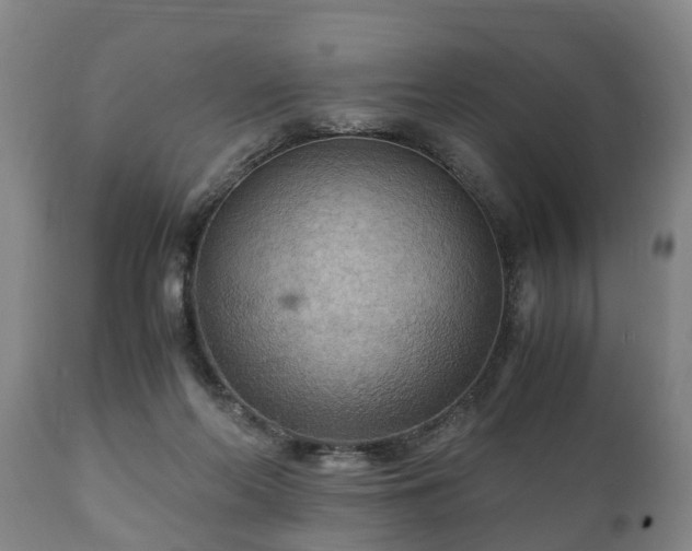 X0000110930214200906251341