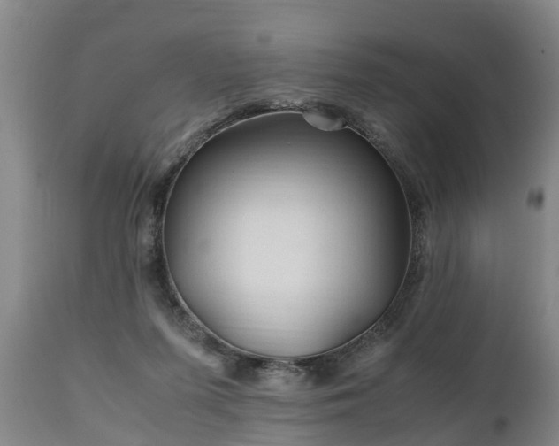 X0000110930215200906251341
